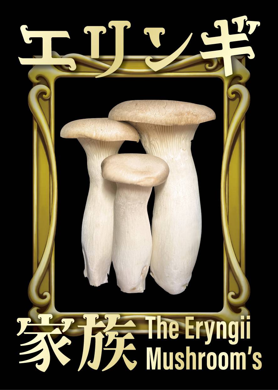 真剣にエリンギで遊んでみませんか？【エリンギ家族】